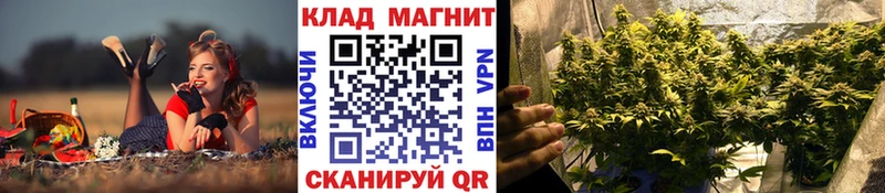 Виды наркотиков купить Гудермес Альфа ПВП АМФ МЕФ Псилоцибиновые грибы ГАШ Cocaine Каннабис