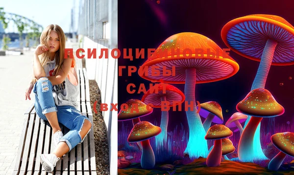 гидропоника Богородицк