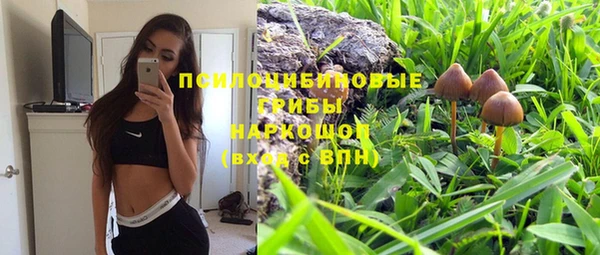 СК Богданович